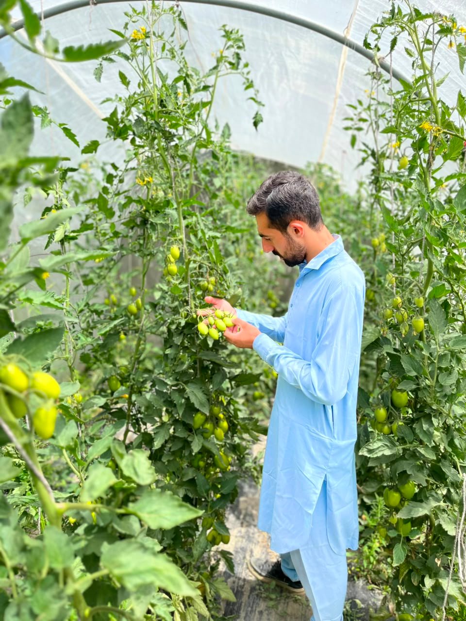 Sustainable farming