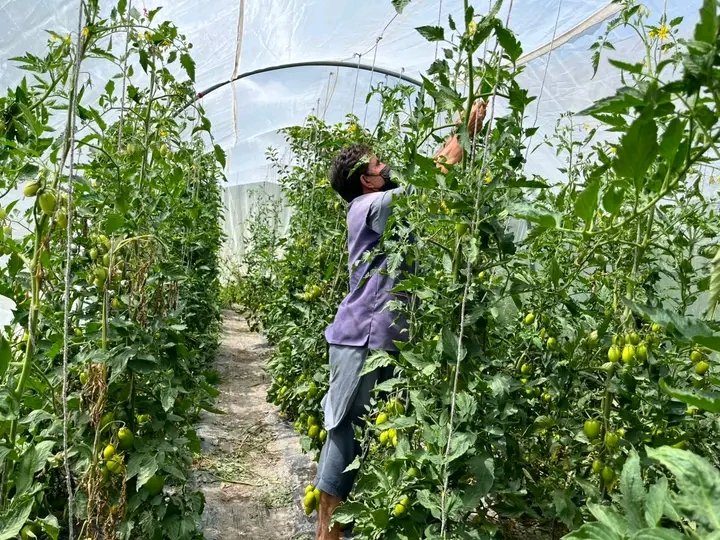 Farmer partnerships